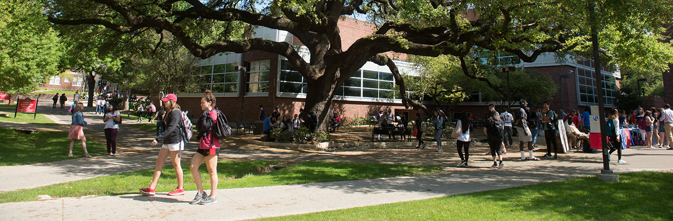 Students walking on the campus of the University of the Incarnate Word