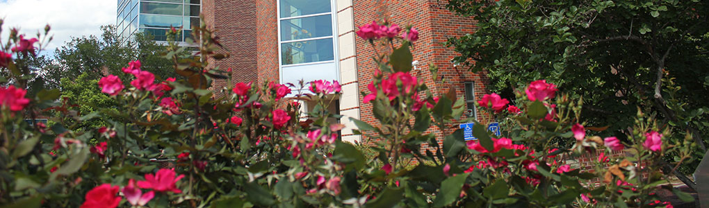 Incoming Student Exchange Program