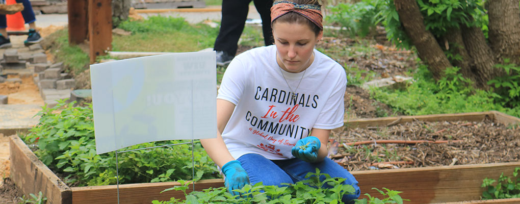 UIW Cardinals in the Community