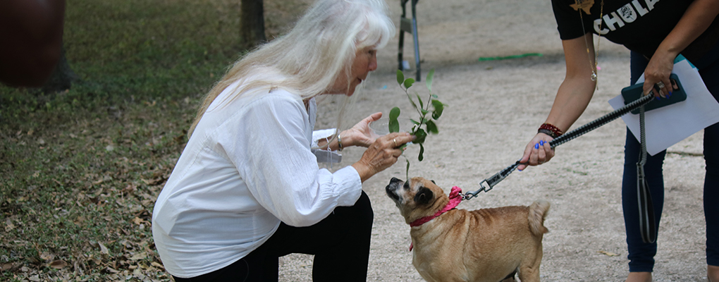 Sr. Martha Ann kneels down to sprinkle holy water on a small dog