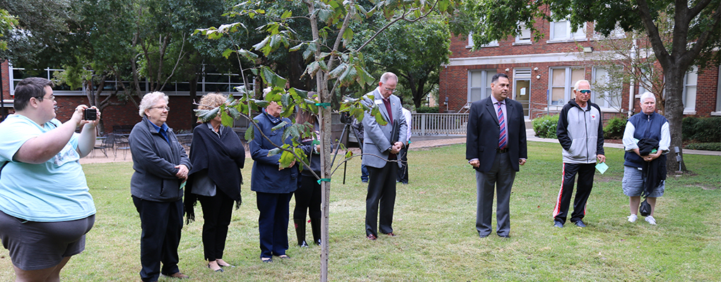 UIW community members stand outside where a tree has just been planted