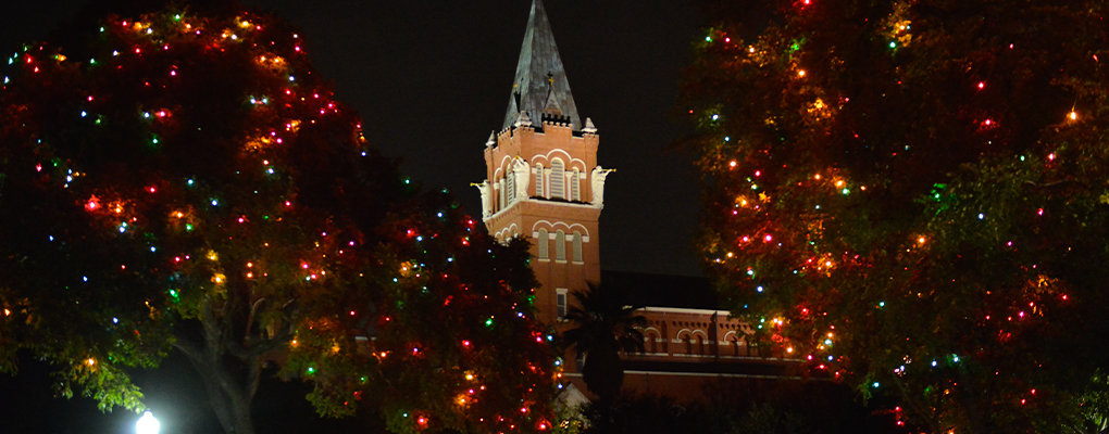 The Incarnate Word steeple is illuminated and surrounded by Christmas lights in nearby trees