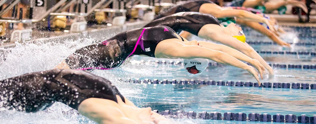 Swimmers dive into the pool