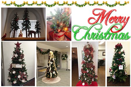 2015 christmas tree collage