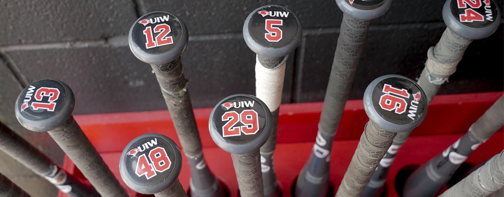 A collection of softball bats