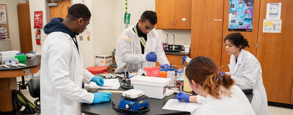 A group of students in lab coats work together