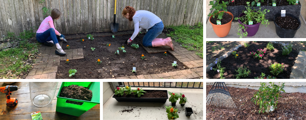 A collage of images of plants planted for the Green Service Project