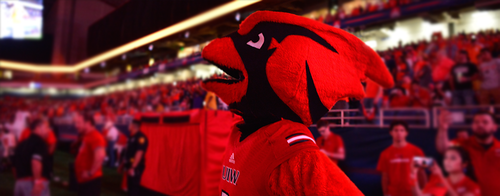 Red the mascot stands and looks out onto the football field