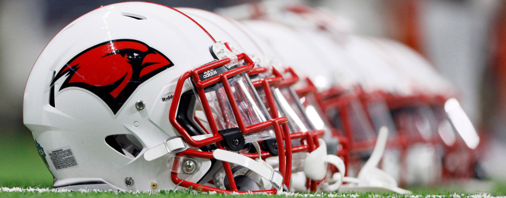 A row of football helmets on the field