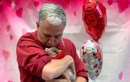 Dr. Glenn James kisses a piglet's head