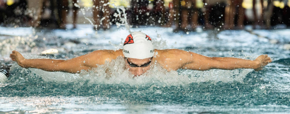 A swimmer races in the pool