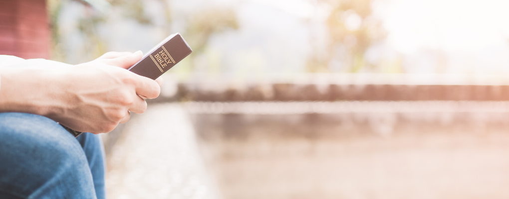 A person holds a Bible