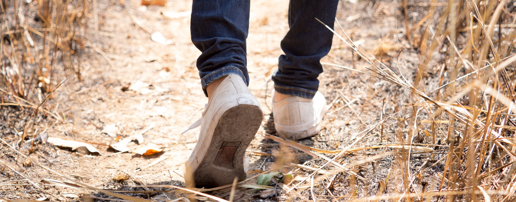 A person walks on a dirt path