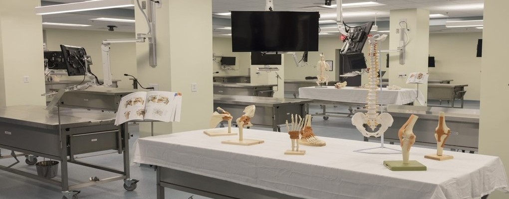The interior of an anatomy lab