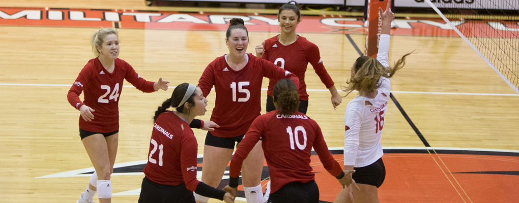 Volleyball players celebrate on the court during a game