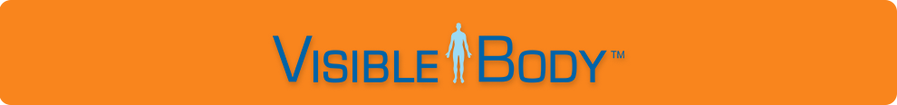 Visible Body logo